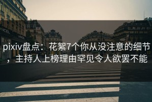 pixiv盘点：花絮7个你从没注意的细节，主持人上榜理由罕见令人欲罢不能