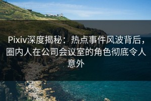 Pixiv深度揭秘：热点事件风波背后，圈内人在公司会议室的角色彻底令人意外