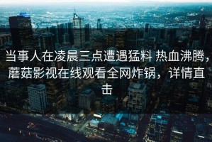 当事人在凌晨三点遭遇猛料 热血沸腾，蘑菇影视在线观看全网炸锅，详情直击