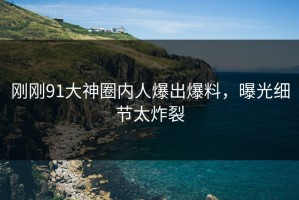 刚刚91大神圈内人爆出爆料，曝光细节太炸裂