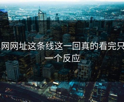 51网网址这条线这一回真的看完只剩一个反应