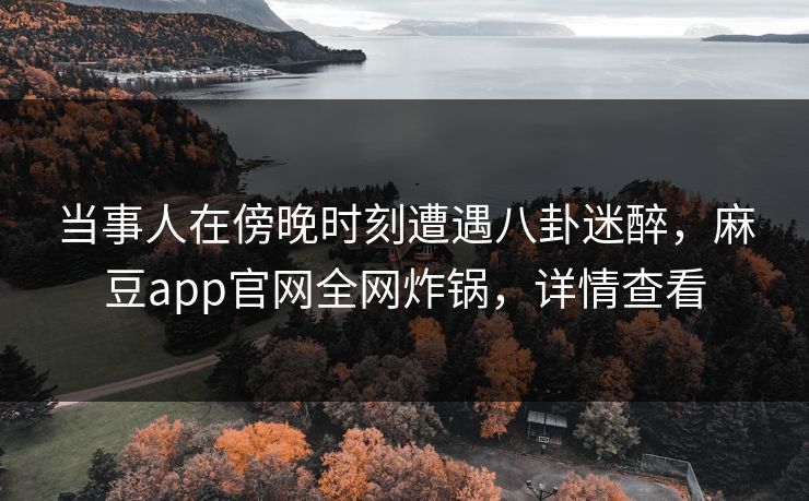 当事人在傍晚时刻遭遇八卦迷醉，麻豆app官网全网炸锅，详情查看
